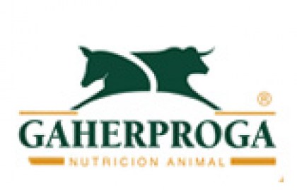 160X100PXLS LOGO GAHER copy